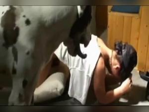 The best bestiality sex videos with dogs