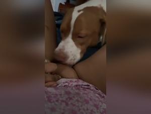 La salope sucee par son chien, une experience cul unique