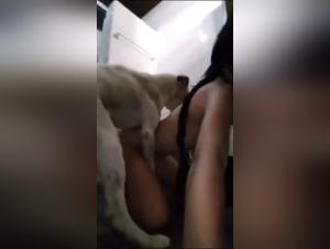 Guarda l'abisso del lampadario canino senza censura