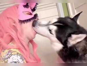 Exciting Zoophilia Video with a Girl and Her Dog