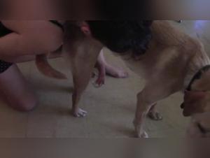 Extreme sexual exploration of a young girl with an animal