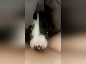 devouring lips, canine fuck under porn flashes