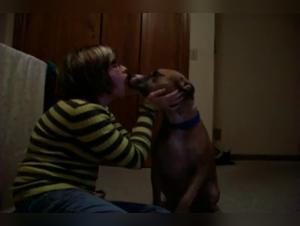 Experience the Extreme Intimacy of Bestiality