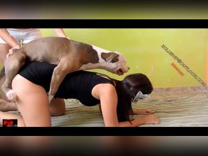 Voyez cette video erotique de la Leena baise son chien salope