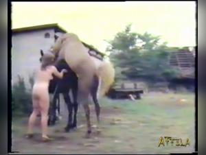 Extreme Pussy Sucking Dog Cock