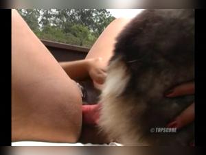 Dogfuck Footage & Explicit Scenes