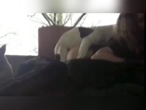 Bestiality Sex Video - Discover the Pleasures of Zoophilia