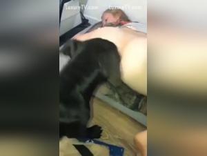 Bestiality sex scene with an Asian woman and her dog