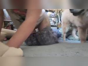 Woman subjected to a dog in a hard video
