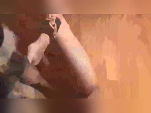 Zoophilia Video: Sex with Dogs and Animals