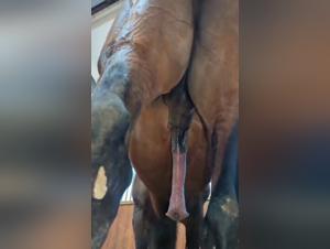 Orgies of flesh and animal desire, without hindrances