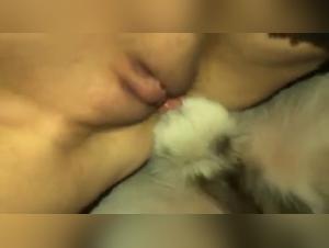 Discover the hardest and most extreme bestiality videos