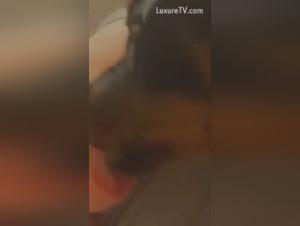 Sex videos with dogs: discover our selection