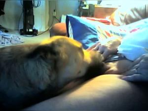 Watch this mature woman in a hard sex scene with a dog