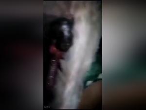 Exploring Boundaries with Alisionprod