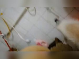 Animale hardcore: Milly e il suo istinto primitivo