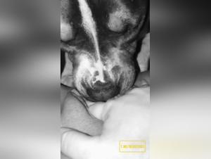 Teil 1 - Unerwartete und enttauschte Hundedominanz