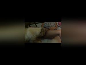 Denise Frazier & the Heated Discourse