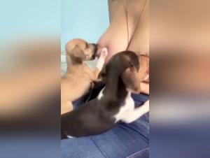 Explore the limits of intimacy in this bestiality video