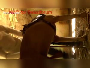 A History of Bestiality and Zoophilia