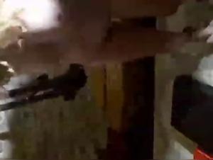 Bestiality Sex Video with an Amateur