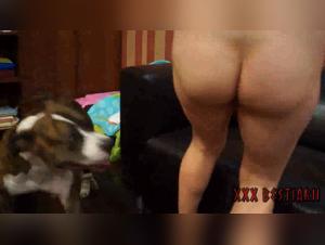 Dominanter Hund, unterwurfige Frau im tierischen Orgasmus
