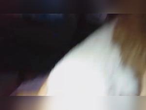Amateur Bestiality Videos with Dogs
