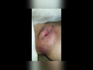 Discover exclusive zoophilia videos