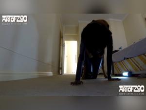 A story of bestiality and hardcore sex