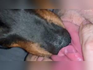 Discover the Ecstasy of Zoophilia