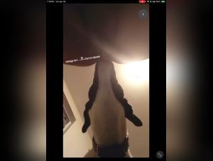 Peitschen, Licks und rohe Kusse: verbotene Orgie mit Hund