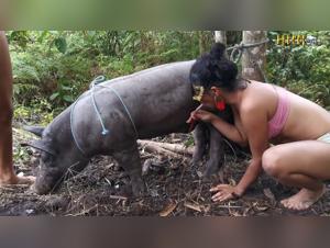 Bestial sex video with a boar and two hot girls