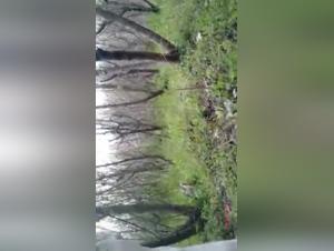 Découvrez les Limites de l'Extase dans cette Vidéo de Bestialité