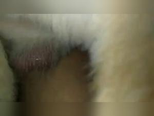 Check out our GF in a unique bestiality sex video