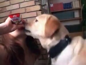 Une Expérience Zoophile Extrême