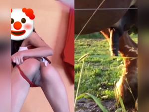 Bestiality video with a horse