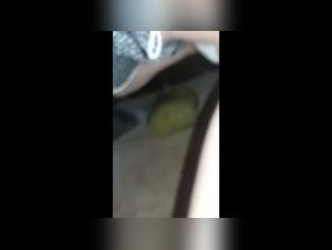 Bestiality Video: Dog fucking and Pussy Fucks Her Dog