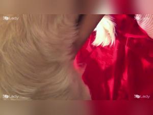 Tierische Sodomie und roher Genuss
