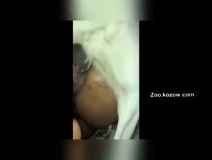 Zoophilia video: a unique bestial experience