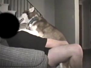 A Bestial and Extreme Sexual Experience