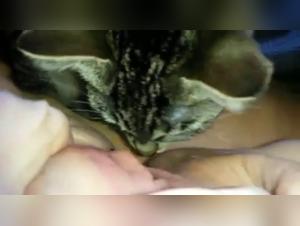 Video of intense zoophilia with a submissive female dog