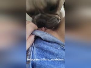 Presentazione adolescenziale, divertimento canino