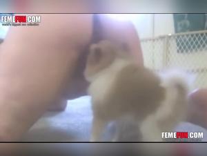 An Extreme Zoophile Experience