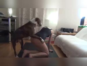 Zoofilia senza limiti: La furia del cane, la sottomissione dolorosa della donna