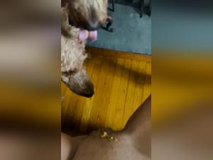 Unveiling Ethical Boundaries in Digital Spaces