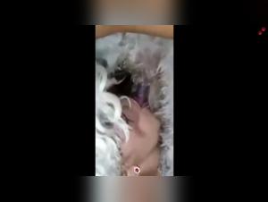 Watch this woman sucking her dog's cock