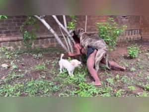 dirtydoglinks dog knot