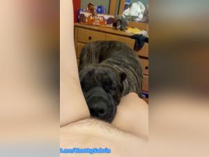 Lecken und wilde Lust: Ein Hund erforscht den Körper einer unterwürfigen Frau vollständig