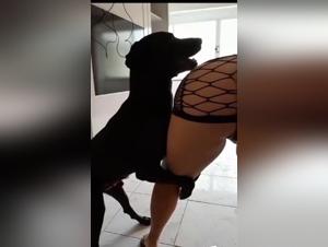Eine Frau wird an einem wilden Abend von ihrem Hund gefickt