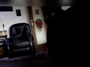 Estasi animale: corpo femminile, potere canino